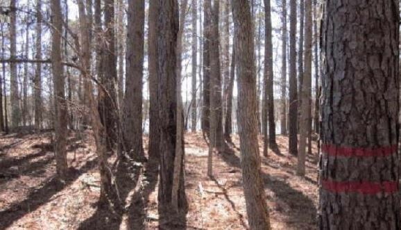 116 View Pointe Dr, Lagrange, GA for sale Other- Image 1 of 1