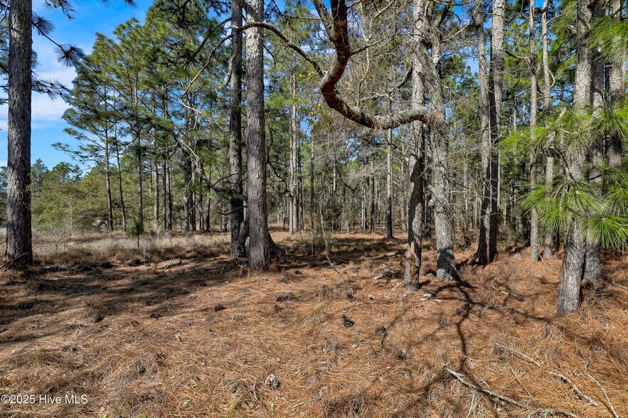 Sand Ridge Rd, Hubert, NC for sale - Building Photo - Image 2 of 16