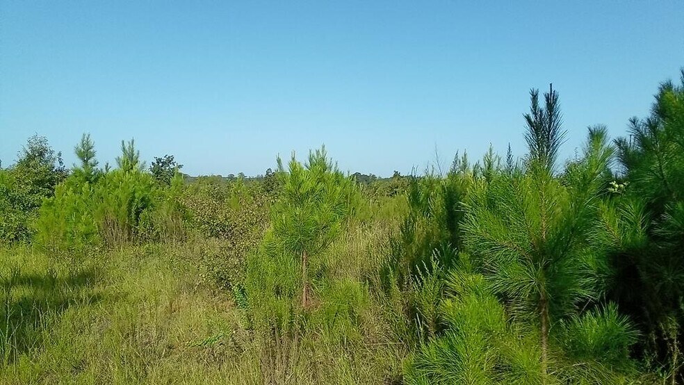 0 Old Balls Ferry Rd., Toomsboro, GA for sale - Primary Photo - Image 1 of 1