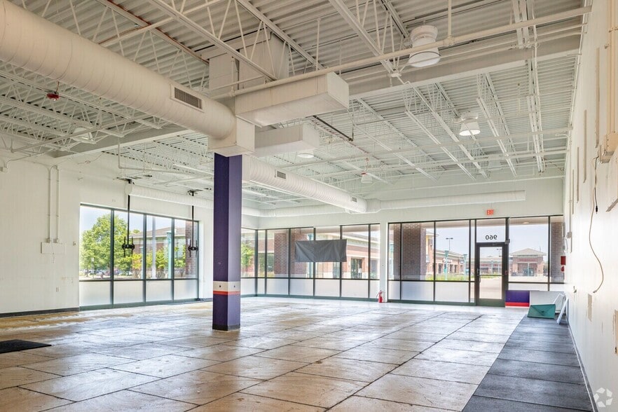 980 Elk Grove Town Ctr, Elk Grove Village, IL for lease - Building Photo - Image 3 of 18