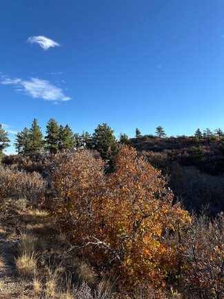 More details for 4040 Bell Mountain Dr, Castle Rock, CO - Land for Sale