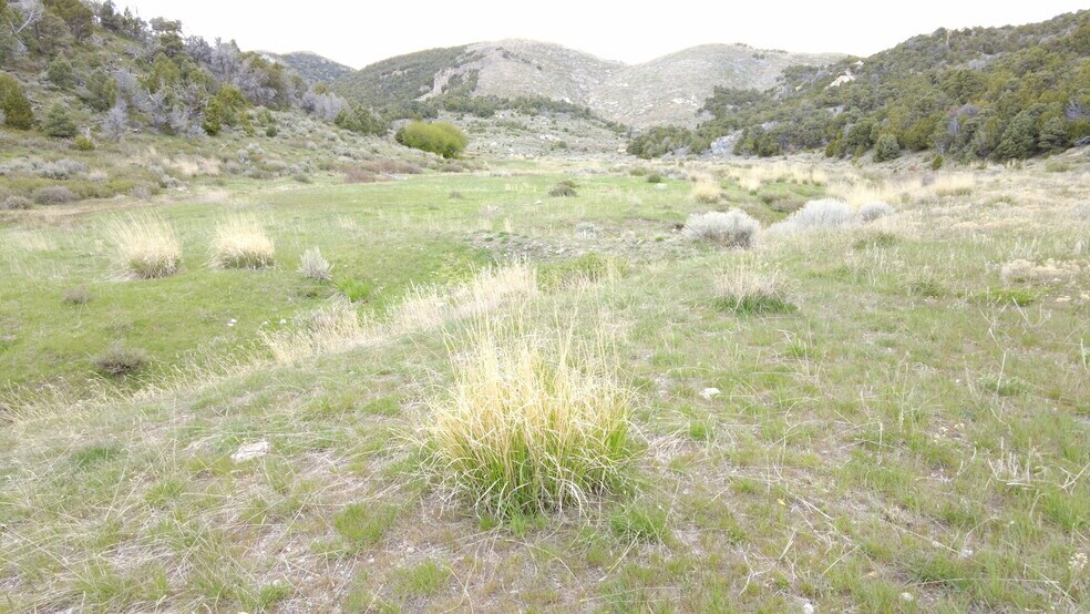 Clear Springs Rd., Park Valley, UT for sale - Primary Photo - Image 1 of 5