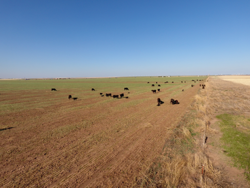 17400 HIGHWAY 287, Amarillo, TX for sale - Building Photo - Image 3 of 10