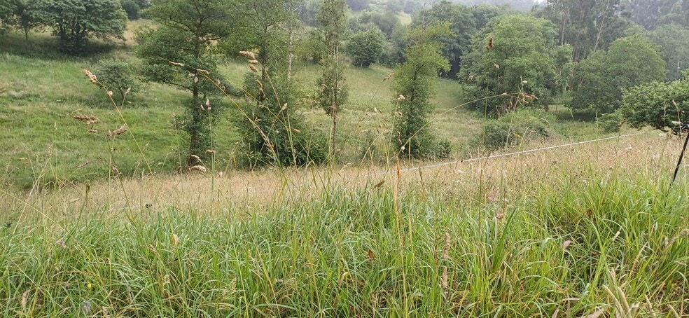 Barrio Illas, S/N, Illas, Asturias for sale - Aerial - Image 3 of 8