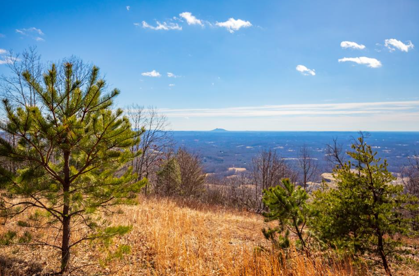 92 Acre Spring Pond Trl, Fancy Gap, VA for sale Aerial- Image 1 of 6