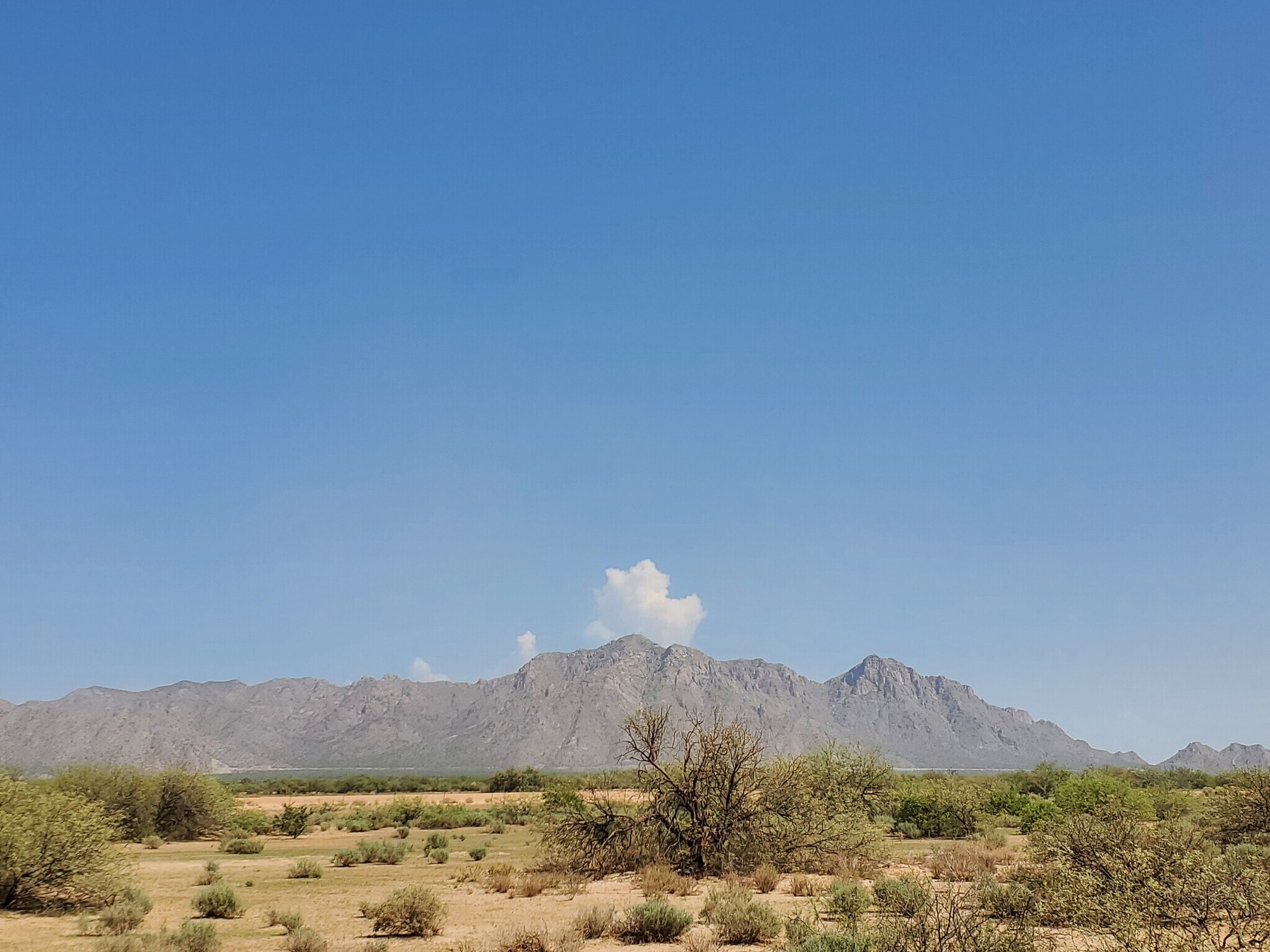 S Edgedale Rd, Eloy, AZ for sale Building Photo- Image 1 of 1