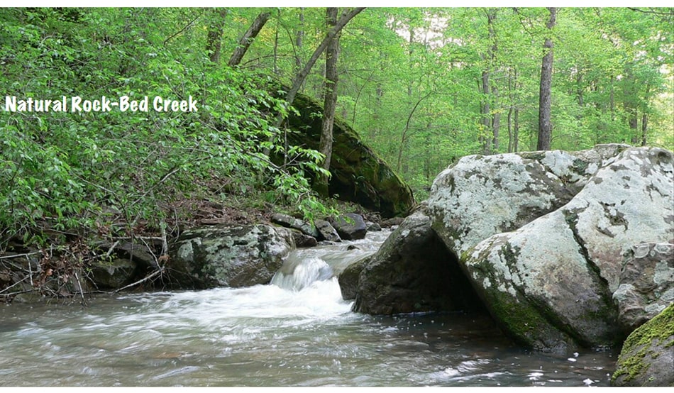 635 Robinson Hill Rd, Makanda, IL for sale - Building Photo - Image 3 of 9