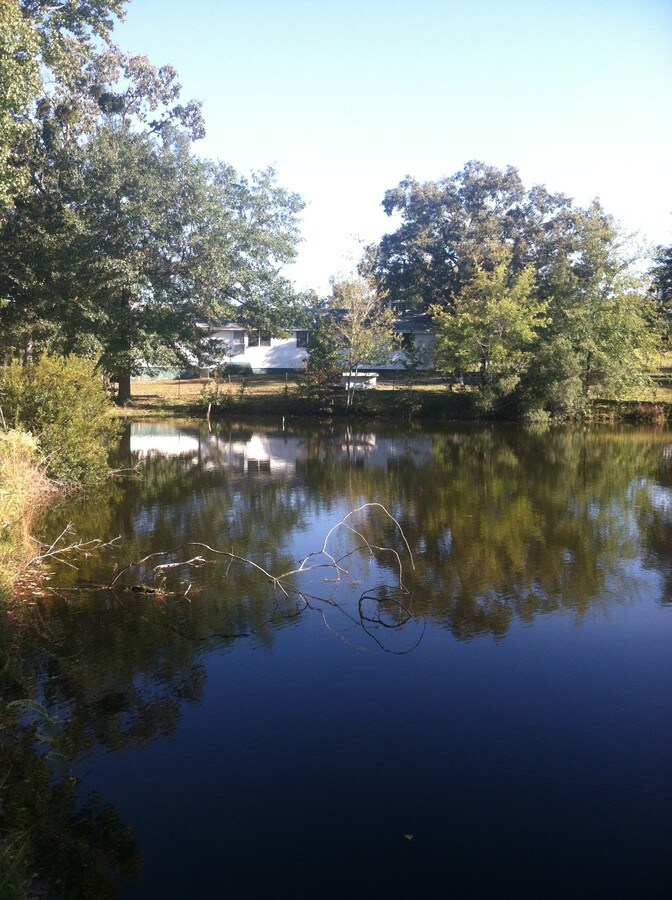 Bowen St, Elgin, SC 29045