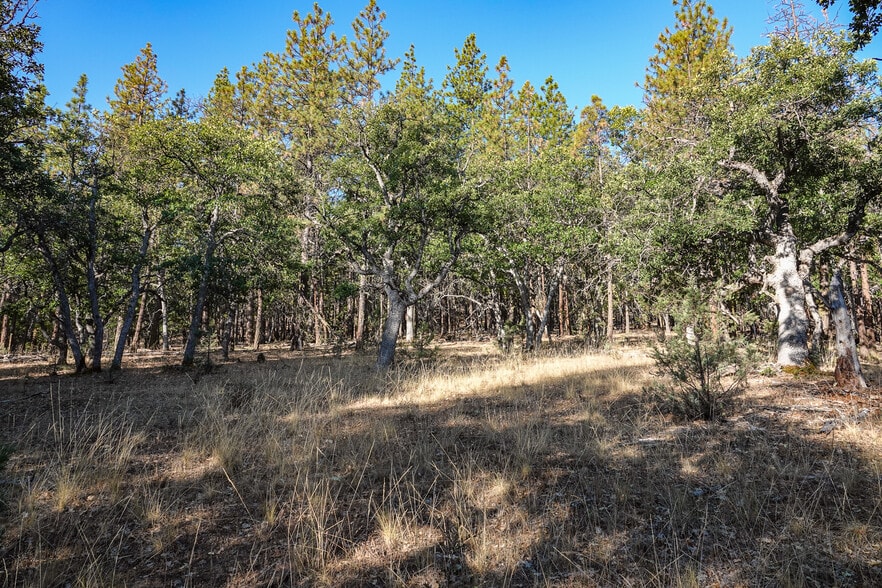 0 East Rd, Fort Jones, CA for sale - Building Photo - Image 3 of 25