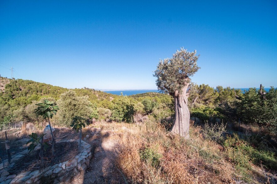Land in Calvià, Islas Baleares for sale - Building Photo - Image 3 of 24
