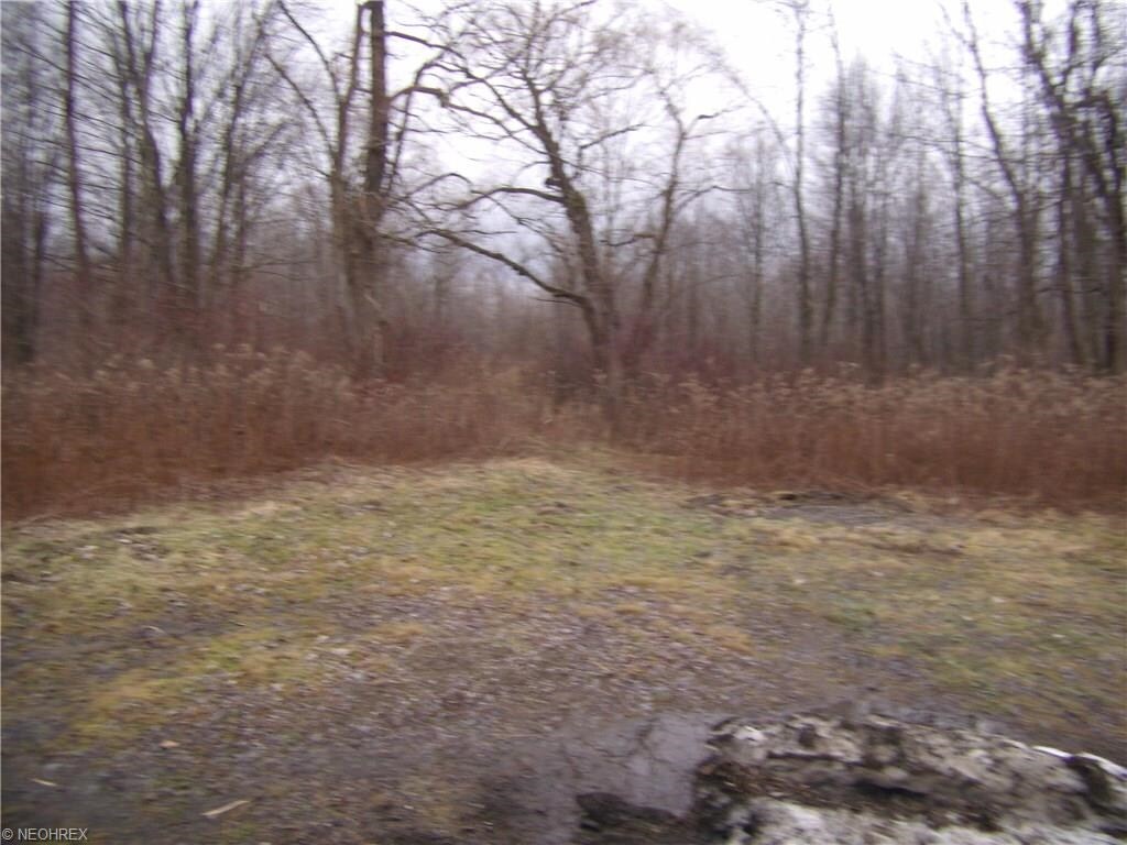 Flickinger Dr, Jefferson, OH for sale Building Photo- Image 1 of 1