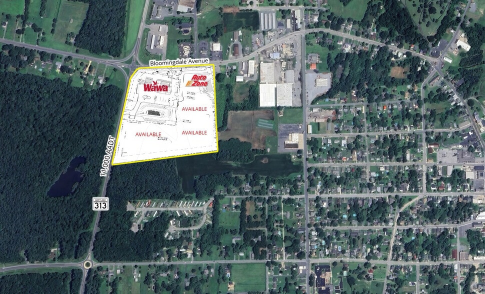 000 Bloomingdale Ave, Federalsburg, MD for lease - Aerial - Image 2 of 2