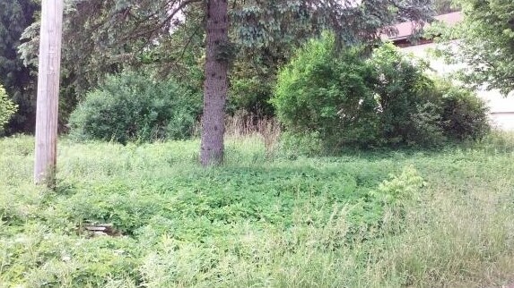 N West St, Homer, NY for sale Primary Photo- Image 1 of 1