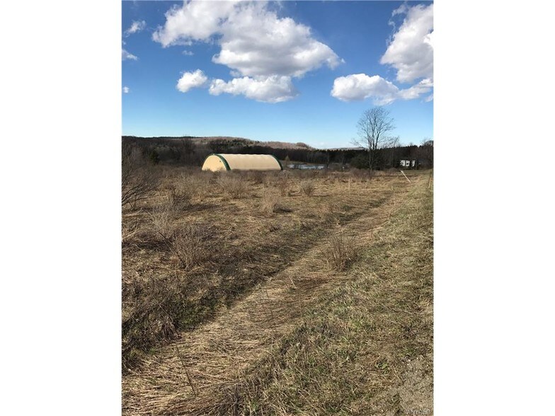 8303 Crumb Hill Rd, East Otto, NY 14729