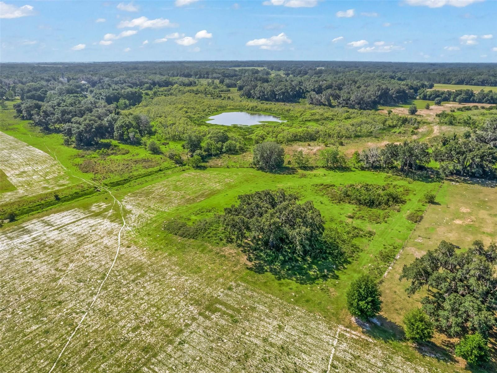 CR 603, Bushnell, FL 33513 Land for Sale