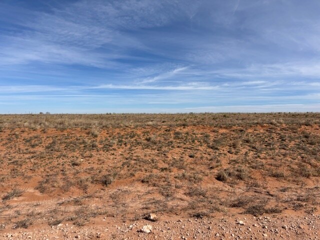 County Road 225, Plains, TX for sale - Other - Image 3 of 3