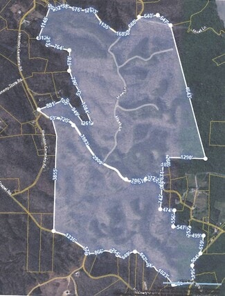 More details for 0 Sandys Camp Rd, Big Sandy, TN - Land for Sale