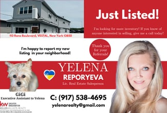 More details for 113 Rano Blvd, Vestal Township, NY - Retail for Sale