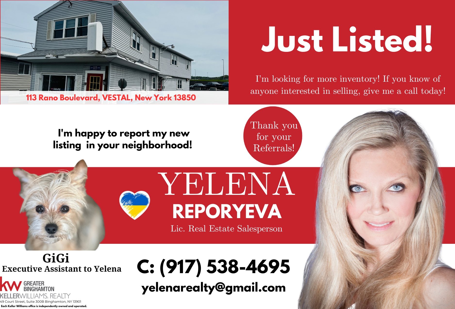 113 Rano Blvd, Vestal Township, NY for sale Building Photo- Image 1 of 2