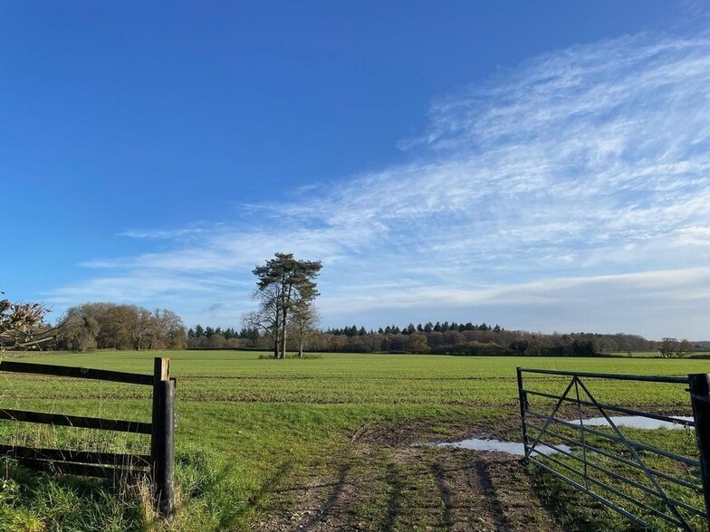 Rotten Row, Henley On Thames for lease - Other - Image 2 of 2