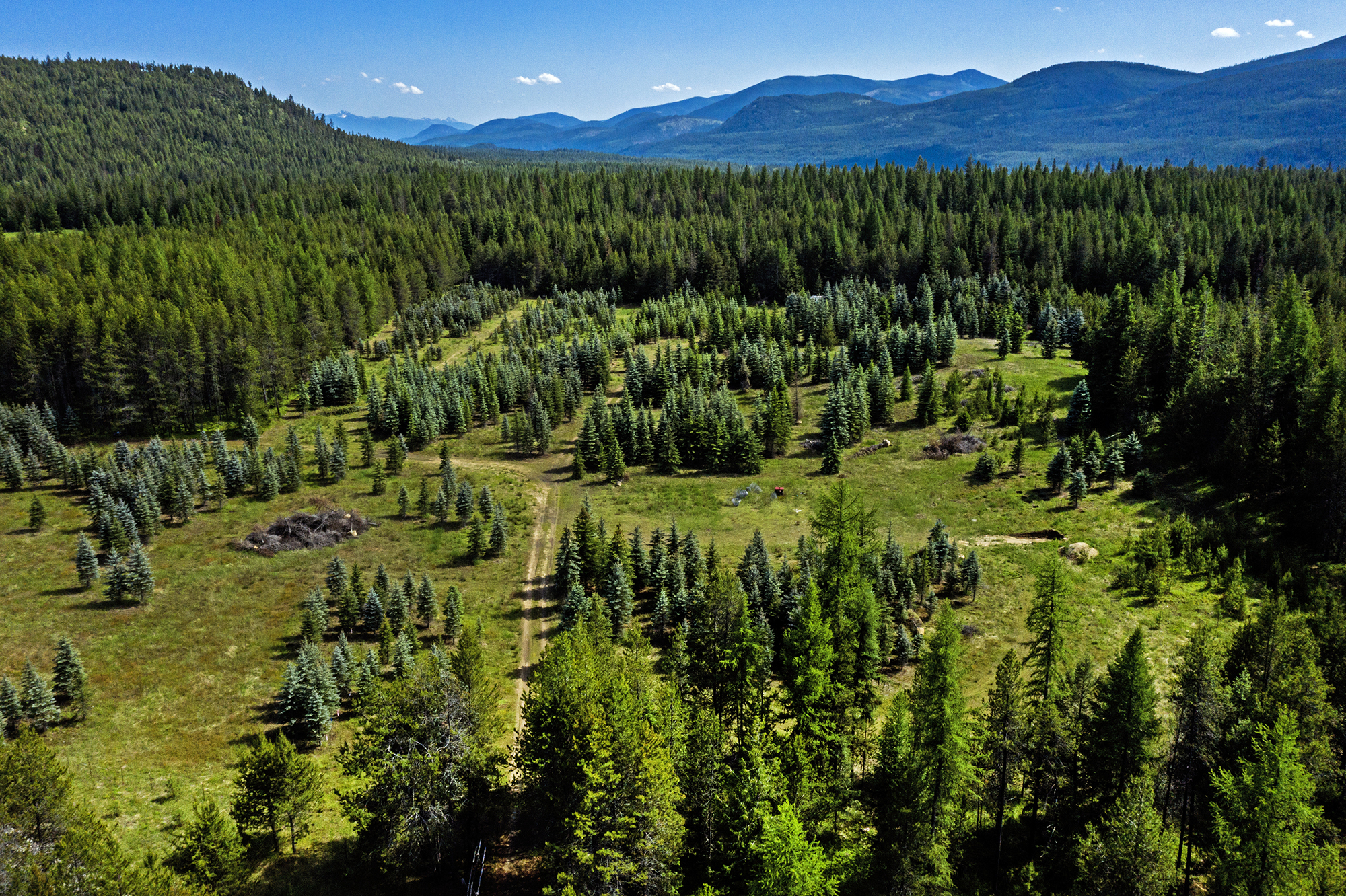 NNA Firehouse rd, Moyie Springs, ID for sale Primary Photo- Image 1 of 1