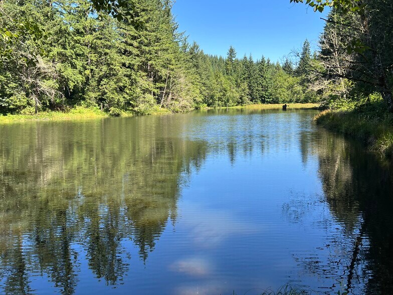 27480 S Beavercreek Rd, Mulino, OR 97042 Land for Sale
