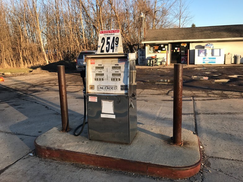 8587 Narrow Lake Rd, Springport, MI 49284