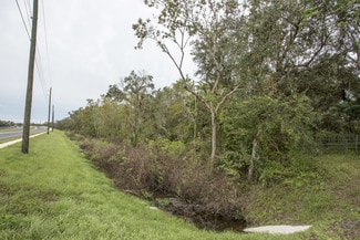 More details for SW Hwy 17, Arcadia, FL - Land for Sale