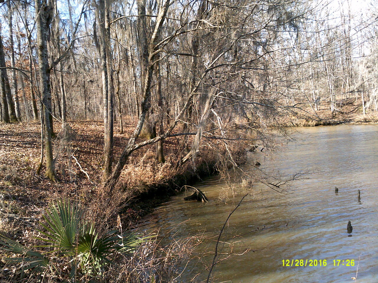 Fisherman's Bay, Lowndesboro, AL for sale Primary Photo- Image 1 of 11