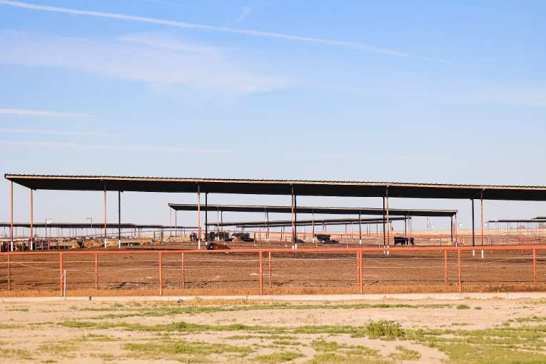 18250 13th Ave, Hanford, CA for sale - Primary Photo - Image 1 of 1