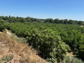 Riverfront Future Development - Owner Financed Property