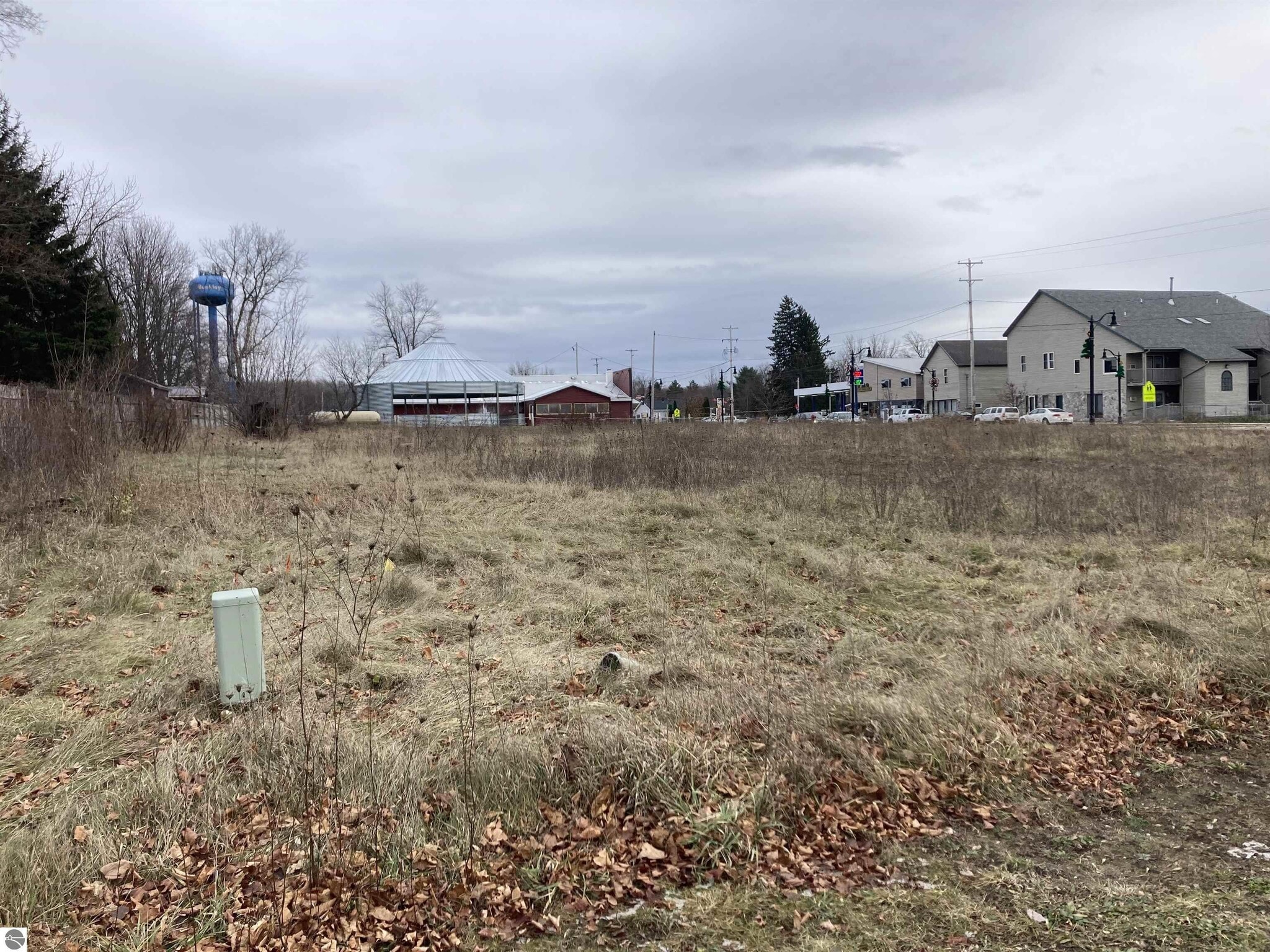 126 W Wexford Ave, Buckley, MI 49620