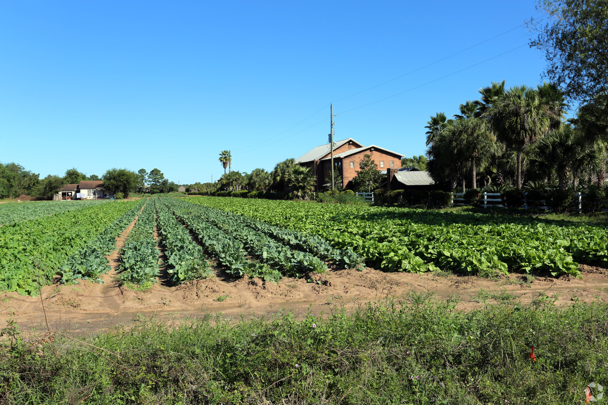 4100 Fm-2920, Spring, TX for sale Primary Photo- Image 1 of 7