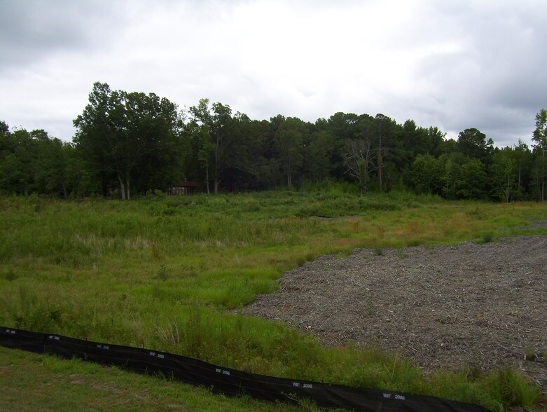 Hwy 19/41 & Malier Rd, Hampton, GA for sale - Primary Photo - Image 1 of 1