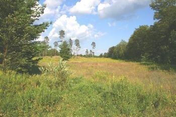 N Clare Ave, Harrison, MI for sale - Primary Photo - Image 1 of 1