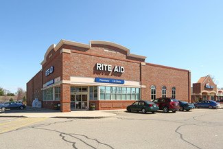 More details for 51341 W Huron River Dr, Belleville, MI - Retail for Lease