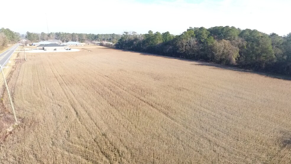 Highway 241, Beulaville, NC 29999