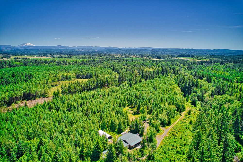 SR505, Winlock, WA 98596