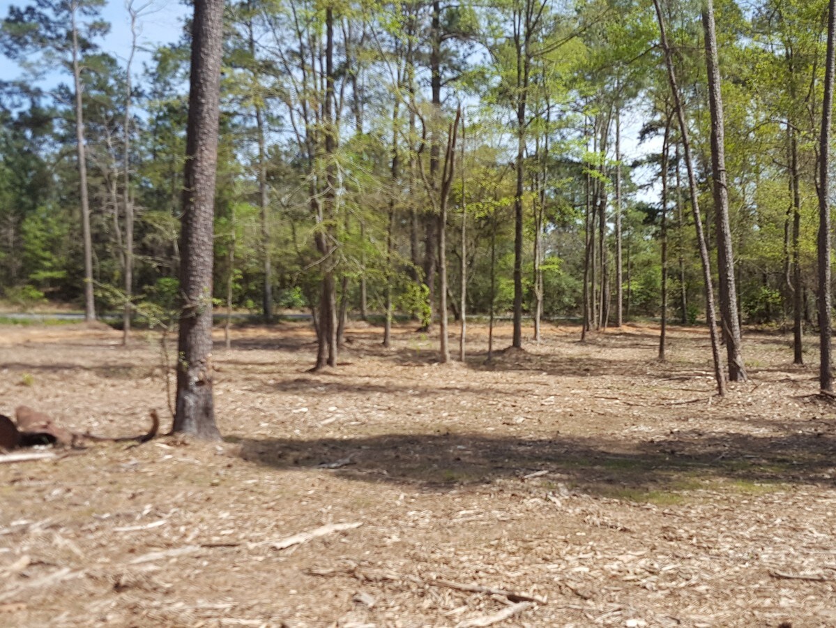 18285 Keenan Cut Off Rd, Montgomery, TX 77316