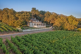 125 Cristo Ln, Santa Rosa CA - Vineyard