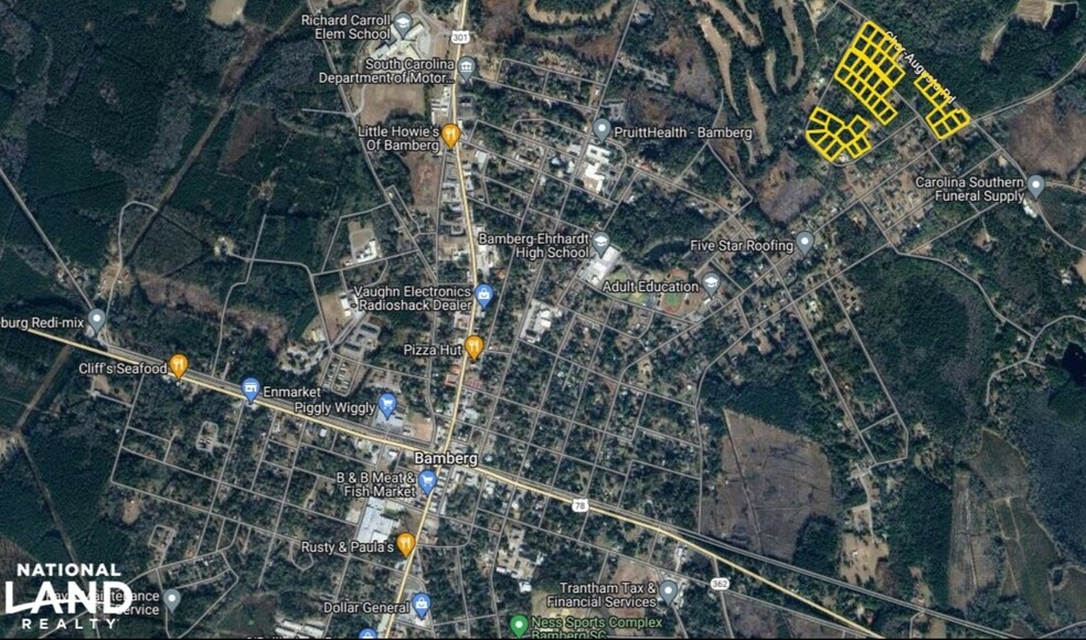 0 Char-Augusta Road, Bamberg, SC for sale - Aerial - Image 1 of 12