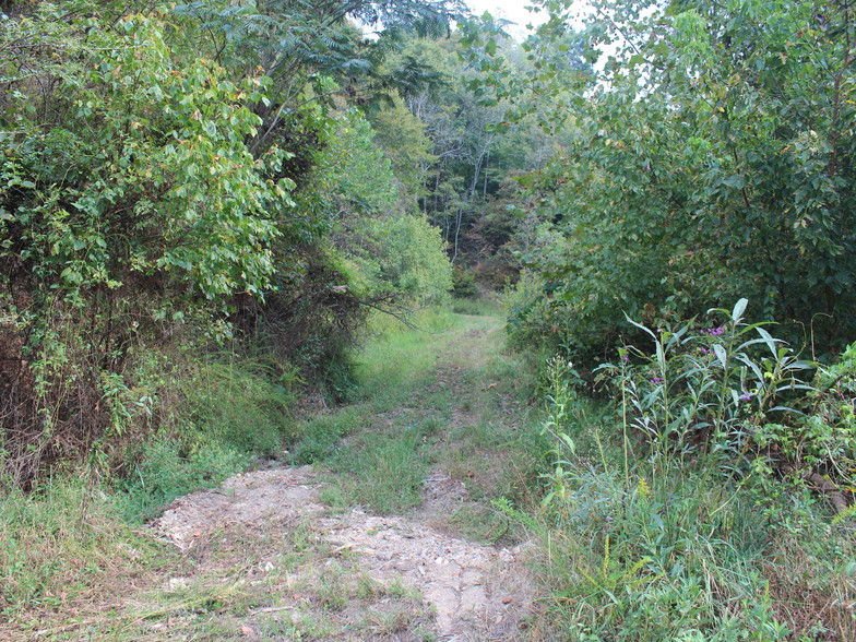 1380 Little Pine Rd, Marshall, NC for sale - Primary Photo - Image 1 of 1