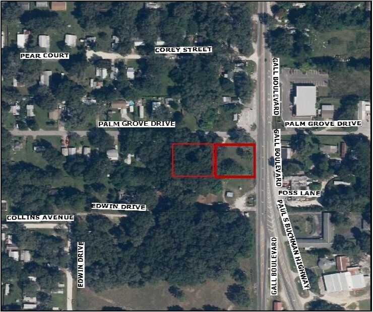4123 Gall Blvd, Zephyrhills, FL for sale Building Photo- Image 1 of 1