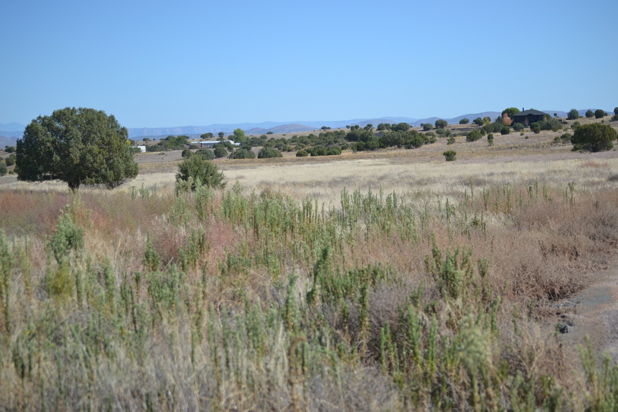 0 Longbranch Rd, Prescott, AZ for sale Primary Photo- Image 1 of 1