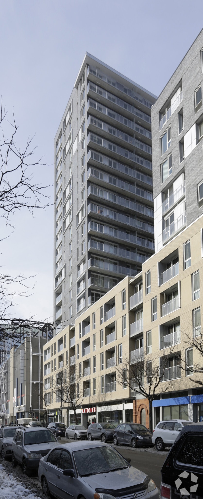 2173 Rue Sainte-Catherine O, Montréal, QC for sale Primary Photo- Image 1 of 1