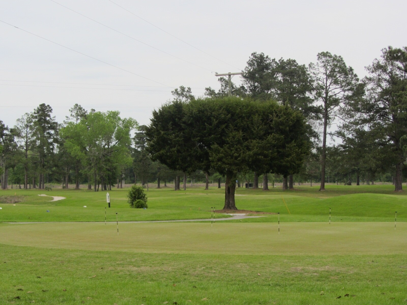 9159 Old State Rd, Holly Hill, SC for sale Primary Photo- Image 1 of 1