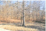 Clevenger Oaks | Residential Development - Land