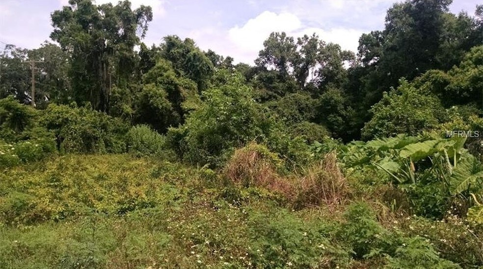 1008 S Kingsway Rd, Seffner, FL for sale - Primary Photo - Image 1 of 1