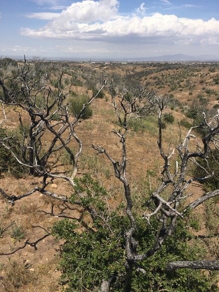 & Ranchero, Oak Hills, CA for sale - Other - Image 3 of 5