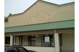 More details for 200 Spitler Park Plz, Mount Zion, IL - Retail for Sale